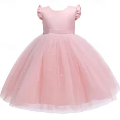 Flower Girl Dress Kid's Girls' Princess Dress Performance Wedding Party Elegant Beautiful Mesh Solid Color Sleeveless Crew Neck Light Pink Grey 4 years+