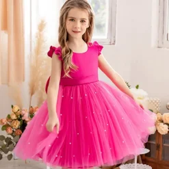 Flower Girl Dress Kid's Girls' Princess Dress Performance Wedding Party Elegant Beautiful Mesh Solid Color Sleeveless Crew Neck Light Pink Grey 4 years+