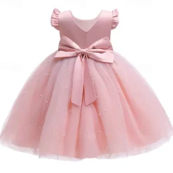 Flower Girl Dress Kid's Girls' Princess Dress Performance Wedding Party Elegant Beautiful Mesh Solid Color Sleeveless Crew Neck Light Pink Grey 4 years+