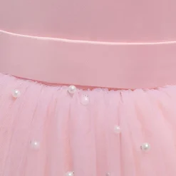 Flower Girl Dress Kid's Girls' Princess Dress Performance Wedding Party Elegant Beautiful Mesh Solid Color Sleeveless Crew Neck Light Pink Grey 4 years+