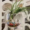 Free Punching Hydroponics Planter, Home Decoration Pot Wall Hanging Mount Bubble Aquarium Bowl Fish Tank Aquarium Home Minipot (Without Plant) Wedding Decoration