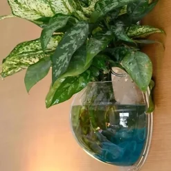 Free Punching Hydroponics Planter, Home Decoration Pot Wall Hanging Mount Bubble Aquarium Bowl Fish Tank Aquarium Home Minipot (Without Plant) Wedding Decoration