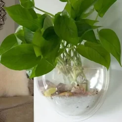 Free Punching Hydroponics Planter, Home Decoration Pot Wall Hanging Mount Bubble Aquarium Bowl Fish Tank Aquarium Home Minipot (Without Plant) Wedding Decoration