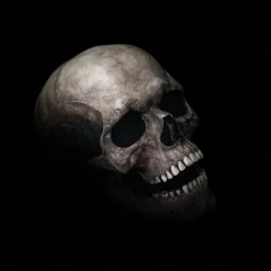 Full Head Skull Mask with Moving Jaw,Adult Entire Head Realistic Latex Helmet,Skeleton Headgear Creepy Mask Realistic Cosplay Props