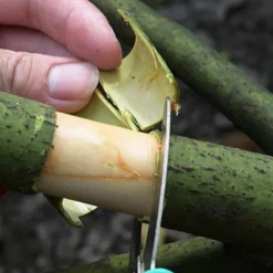 Gardening Fruit Tree Girdling Knife, Girdling Shears, Seedling Grape Girdling Knife, Bark Cutter, Garden Orchard Citrus Girdling Shears