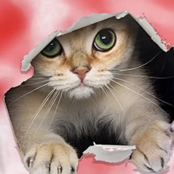 Girls' 3D Cat T shirt Short Sleeve 3D Print Summer Active Cute Polyester Kids 3-12 Years Outdoor Daily Regular Fit