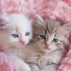 Girls' 3D Cat Tee Shirt Pink Short Sleeve 3D Print Summer Active Fashion Cute Polyester Kids 3-12 Years Crew Neck Outdoor Casual Daily Regular Fit