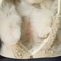 Girls' 3D Dog Tee Shirts Long Sleeve 3D Print Spring Fall Active Fashion Cute Kids 3-12 Years 4-12 Years Crew Neck Outdoor Casual Daily Regular Fit