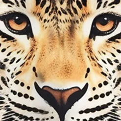 Girls' 3D Graphic Animal Leopard T shirt Tee Short Sleeve 3D Print Summer Spring Active Fashion Streetwear Kids 3-12 Years Outdoor Casual Daily Regular Fit