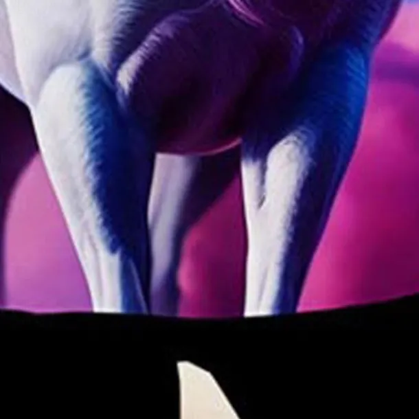 Girls' 3D Graphic Unicorn Cloud T shirt Tee Short Sleeve 3D Print Summer Spring Active Fashion Cute Kids 3-12 Years Outdoor Casual Daily Regular Fit