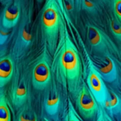 Girls' 3D Peacock Dress Long Sleeve 3D Print Fall Winter Vacation Sports & Outdoor Daily Cute Casual Beautiful Kids 3-12 Years Casual Dress Swing Dress A Line Dress Above Knee Regular Fit