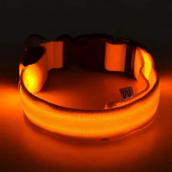 Glowing Dog Collar Adjustable Flashing Luminous Collar Night Anti-Lost Dog Light HarnessFor Small Dog Pet Products