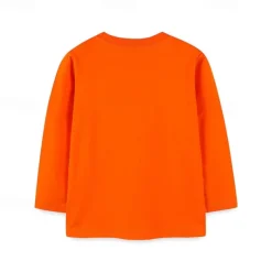 Halloween Boys 3D Graphic Spider Tee Long Sleeve Spring Fall Fashion Basic Polyester Little Kids(4-7ys) 4-7 Years Crew Neck Outdoor Casual Daily Regular Fit