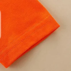 Halloween Boys 3D Graphic Spider Tee Long Sleeve Spring Fall Fashion Basic Polyester Little Kids(4-7ys) 4-7 Years Crew Neck Outdoor Casual Daily Regular Fit