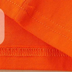 Halloween Boys 3D Graphic Spider Tee Long Sleeve Spring Fall Fashion Basic Polyester Little Kids(4-7ys) 4-7 Years Crew Neck Outdoor Casual Daily Regular Fit