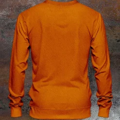 Halloween Men's Owl Hoodies Sweatshirt Long Sleeve Sweatshirt Crew Neck Fashion Cool Daily 3D Print 3D Print Fall Winter