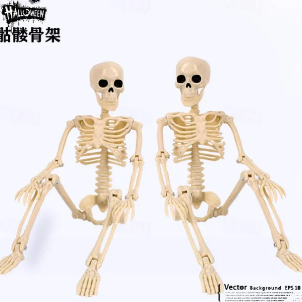 Halloween Skeletons | Full Body Posable Joints Skeletons for Halloween Decoration, Graveyard Decorations, Haunted House Accessories