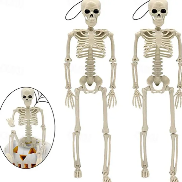 Halloween Skeletons | Full Body Posable Joints Skeletons for Halloween Decoration, Graveyard Decorations, Haunted House Accessories