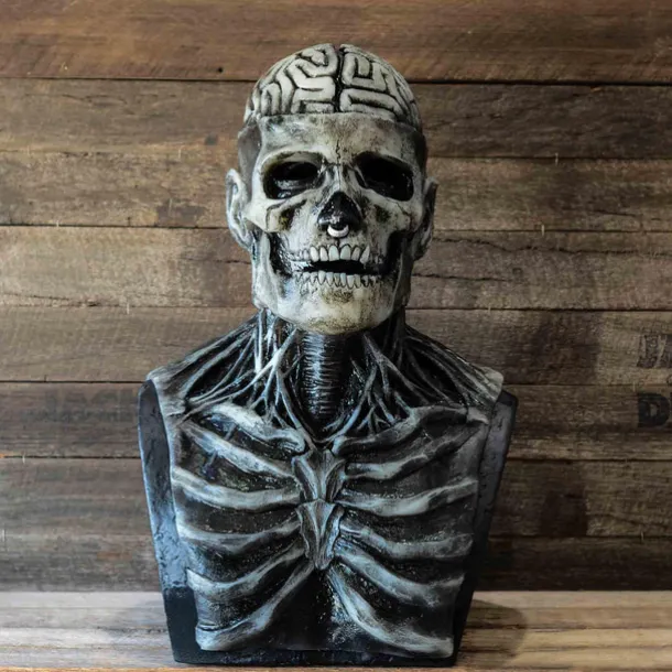 Halloween Skull Mask Resident Evil Horror Scary Realistic Horrible Full Head Skeleton Biochemical Mask For 2025 Halloween,Adults Costumes Skull Mask Indie Station Demon Zombie Skeleton Mask