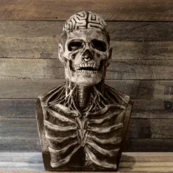 Halloween Skull Mask Resident Evil Horror Scary Realistic Horrible Full Head Skeleton Biochemical Mask For 2025 Halloween,Adults Costumes Skull Mask Indie Station Demon Zombie Skeleton Mask