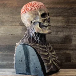 Halloween Skull Mask Resident Evil Horror Scary Realistic Horrible Full Head Skeleton Biochemical Mask For 2025 Halloween,Adults Costumes Skull Mask Indie Station Demon Zombie Skeleton Mask