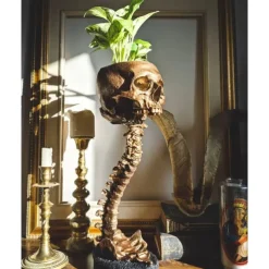 Halloween Skull Planter & Spine Stand, Resin Skull Head Flower Succulent Cactus Planter Pots,or Home Office Desk Decorations Halloween Scene Statue Sculpture Decorations