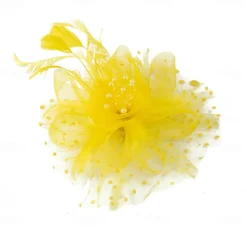 Headpiece Tulle Feathers Wedding Evening Party Elegant Wedding With Feather Headpiece Headwear