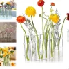 Hinged Flower Vase,Foldable Flower Vase Set, Foldable Flower Vase with Hinged Design, Shape Changeable DIY Crystal Glass Test Tube with 6/8 Test Tubes and S-Shaped Hooks
