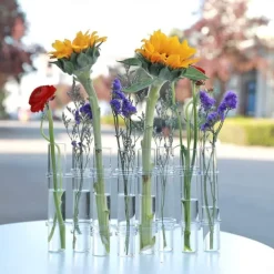 Hinged Flower Vase,Foldable Flower Vase Set, Foldable Flower Vase with Hinged Design, Shape Changeable DIY Crystal Glass Test Tube with 6/8 Test Tubes and S-Shaped Hooks