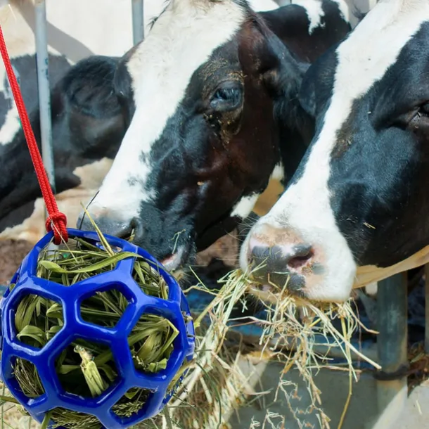 Horse Feeding Toy Ball Hanging Horse Toy Stable Feeding Ball, Stretch Resistant TPR Hay Feeder Toy Ball