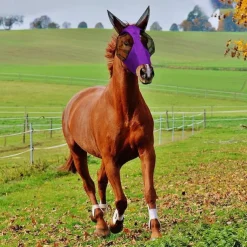 Horse Fly Masks with Ears Head Fly Masks for Horses Smooth Elastic UV Protection Cover from Summer Insect Pests 1PCS