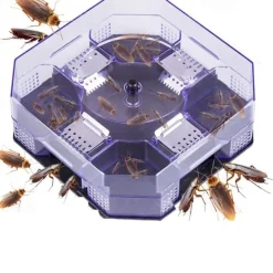 Household Large Cockroach Traps Cockroach Trap Cockroaches Trap House Catch for Kitchen Bathroom