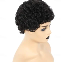 Human Hair Wig Short Afro Curly Pixie Cut Natural Black Women Party Fashion Capless Brazilian Hair Women's Black Vacation Party / Evening Daily