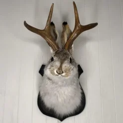 Jackalope Rabbit Wall Decor The Latest Legend of Antlers,Fake Rabbit Resin Art Wall Mount, Simulation Head Specimen Ornament