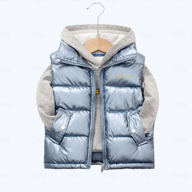 Kid Boy and Girl Puffer Vest Outerwear Basic Plain Sleeveless Winter Coat Black Gray Pink Daily Outdoor 3-13 Years