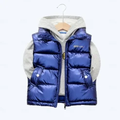 Kid Boy and Girl Puffer Vest Outerwear Basic Plain Sleeveless Winter Coat Black Gray Pink Daily Outdoor 3-13 Years