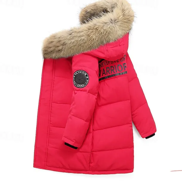 Kids Boys Down Coat Hoodie Jacket Outerwear Letter Long Sleeve Pocket Coat Outdoor Daily Basic Black Red Blue Fall Winter 4 years+