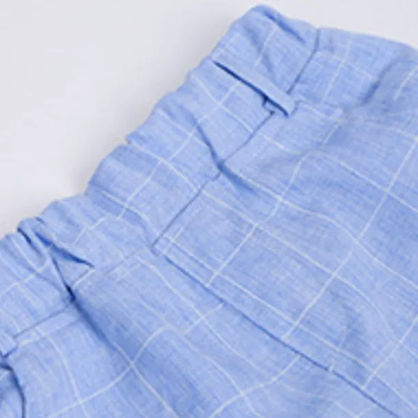 Kids Boys Suit Vest Shorts Set Clothing Set 3 Pieces Sleeveless Blue Gray Pink Plaid Formal Birthday Gentle Preppy Style 4-13 Years