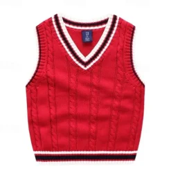 Kids Boys Sweater Color Block Sleeveless Patchwork School Daily White Fall Clothes 4 years+