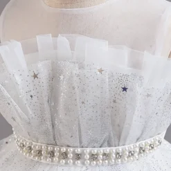 Kids Girls' Flower Girl Dress Party Dress Sequin Sleeveless Wedding Party Special Occasion Sequins Mesh Adorable Sweet Cotton Polyester Asymmetrical Party Dress Summer Spring Fall 4-13 Years White