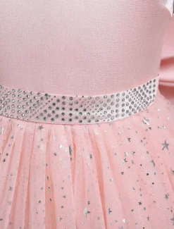 Kids Girls' Flower Girl Dress Dress Sequin Sleeveless Performance Wedding Party Mesh Bow Elegant Princess Polyester Maxi A Line Dress Tulle Dress Summer Spring 4-13 Years Multicolor Pink Wine