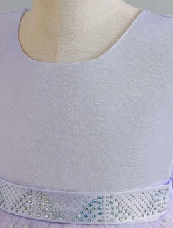 Kids Girls' Flower Girl Dress Dress Sequin Sleeveless Performance Wedding Party Mesh Bow Elegant Princess Polyester Maxi A Line Dress Tulle Dress Summer Spring 4-13 Years Multicolor Pink Wine