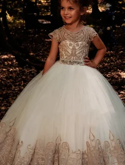 Kids Girls' Flower Girl Dress Dress Floral Solid Colored Short Sleeve Wedding Party Birthday Lace Ruched Mesh Cute Princess Polyester Maxi A Line Dress Tulle Dress Flower Girl's Dress Summer Fall