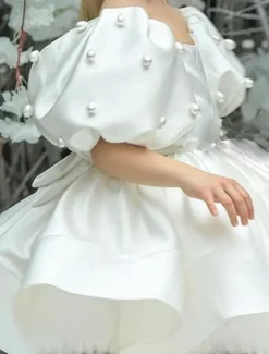 Kids Girls' Flower Girl Dress Dress Solid Color Solid Colored Short Sleeve Formal Wedding Party Ruched Mesh Puff Sleeve Cute Sweet Polyester Above Knee A Line Dress Tulle Dress Flower Girl's Dress