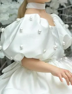 Kids Girls' Flower Girl Dress Dress Solid Color Solid Colored Short Sleeve Formal Wedding Party Ruched Mesh Puff Sleeve Cute Sweet Polyester Above Knee A Line Dress Tulle Dress Flower Girl's Dress