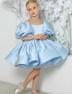 Kids Girls' Flower Girl Dress Dress Solid Color Solid Colored Short Sleeve Formal Wedding Party Ruched Mesh Puff Sleeve Cute Sweet Polyester Above Knee A Line Dress Tulle Dress Flower Girl's Dress