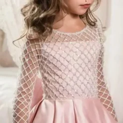 Kids Girls' Flower Girl Dress Party Dress Solid Color Long Sleeve Performance Wedding Party Mesh Princess Sweet Mesh Mid-Calf Sheath Dress Tulle Dress Flower Girl's Dress Summer Spring Fall 2-12 Years