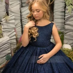 Kids Girls' Party Dress Solid Color Sleeveless Performance Wedding Mesh Princess Sweet Lace Mid-Calf Sheath Dress Tulle Dress Flower Girl's Dress Summer Spring Fall 2-12 Years Blue