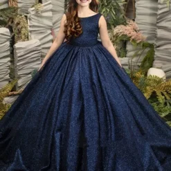 Kids Girls' Party Dress Solid Color Sleeveless Performance Wedding Mesh Princess Sweet Lace Mid-Calf Sheath Dress Tulle Dress Flower Girl's Dress Summer Spring Fall 2-12 Years Blue