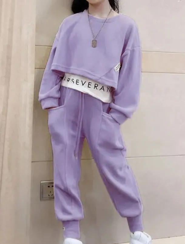 Kids Girls' Sweatshirt & Pants 2 Pieces Clothing Set Long Sleeve Gray Purple Pink Solid Color Sports Vacation Fashion Comfort 3-12 Years